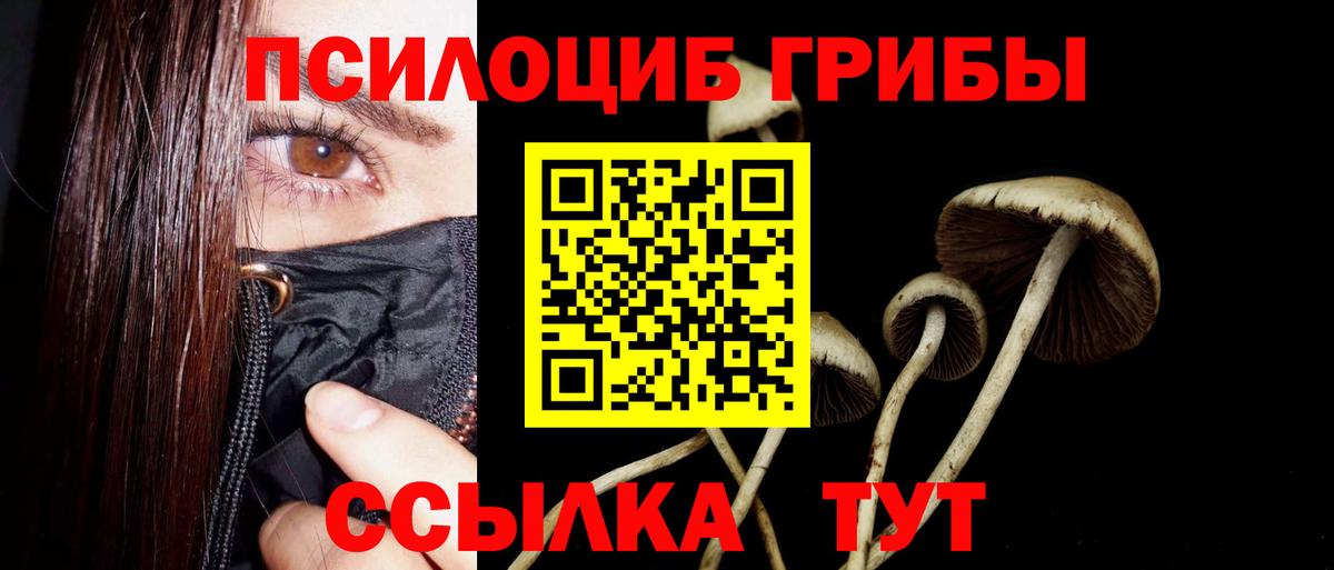 Псилоцибиновые грибы мицелий  Вход с VPN  Псилоцибиновые грибы мухоморы  Можга 